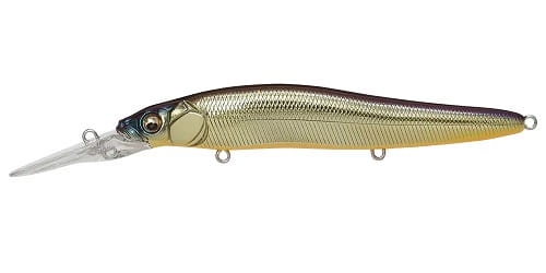 Wobler Vision Oneten R+1 M Champagne Kinkuro #3.jpg