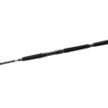 Wędka Daiwa BG Offshore Pilk.2.jpg
