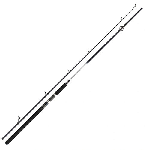 /environment/cache/images/productGfx_112639_700_700/Daiwa-Grandwave-2.40m-150-300g-2cz-S.jpg