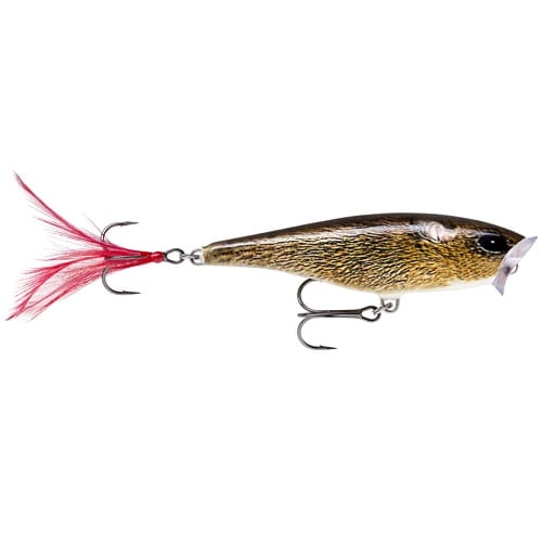 Rapala Skitter Pop FML.jpg