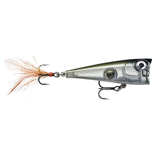 Wobler Rapala X-Light Pop FNP04 4cm GHSH.jpg
