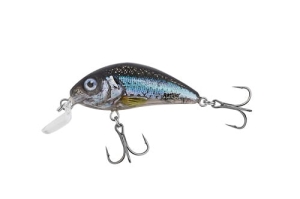 SALMO RATTLIN HORNET 4.5cm 5.5g C'est clair HOLO SM