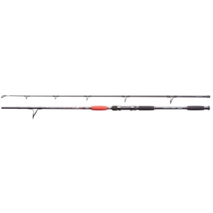 Jaxon Catfish E Spin&Troll 2.40m 160g 2cz