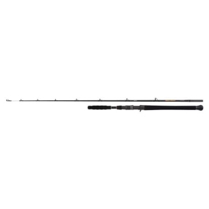 SHIMANO Beastmaster AX Catfish Vert 1.85m 200g 1+1