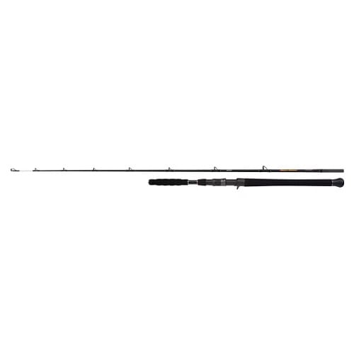 SHIMANO Beastmaster AX Catfish Vert 1,85m 200g 1+1.jpg