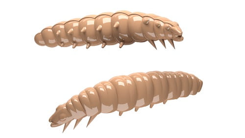 Libra Lures Larva Kol.35.jpg