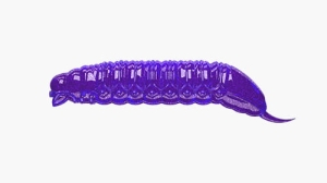 Libra Lures GOLIATH 30mm kryl Kol.20 15szt