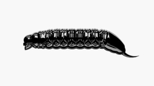 Libra Lures GOLIATH 30mm kryl Kol.40 15szt