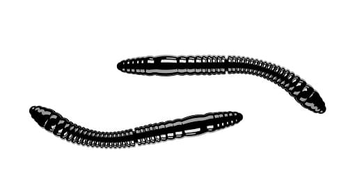 Libra Lures FATTY D'WORM 55mm Kol.40.jpg