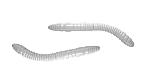 Libra Lures FATTY D'WORM 55mm Kol.1.jpg
