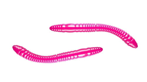 Libra Lures FATTY D'WORM 55mm Kol.19.jpg
