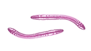Libra Lures FATTY D'WORM 55mm Cheese Col.18 12pcs