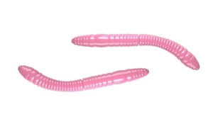 Libra Lures FATTY D'WORM 55mm Cheese Col.17 12pcs