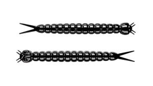 Libra Slight Worm 38mm Ser Kol.40 15szt