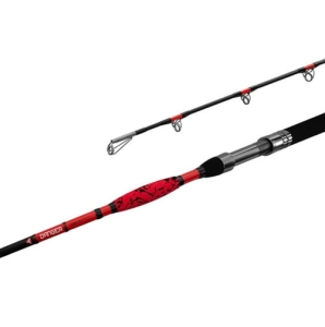 Delphin Danger CatFish 2.85m 350g 2cz S