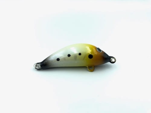 Gloog Hektor 35N 2g Floating Larva.jpeg