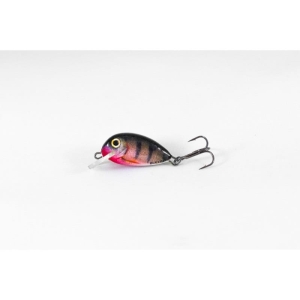 Bulle Hunter 25mm 2.2g Col.RP S