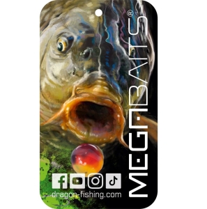 Pendentif olfactif MegaBAITS Carpe noire Forêt
