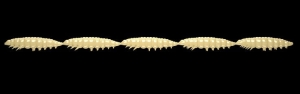 Libra Lures Larva Multi 005 Cheese Cheese 25pcs