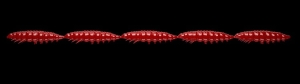 Libra Lures Larva Multi 021 Red Cheese 25pcs