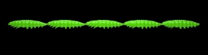 Libra Lures Larva Multi 026 Hot Green Cheese 25pcs