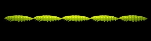 Libra Lures Larva Multi 027 Apple Green Chee 25pcs