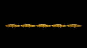 Libra Lures Larva Multi 036 Coffee Milk Krill25pcs
