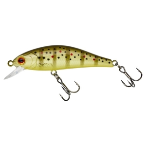 GUNKI Rodan 59 SHW Truite sauvage