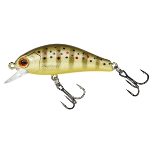 GUNKI Rodan 40 SHW Truite sauvage