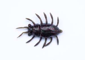 FishUP Maybug 1,3 #050 - Citrouille verte Marron/Rouge &
