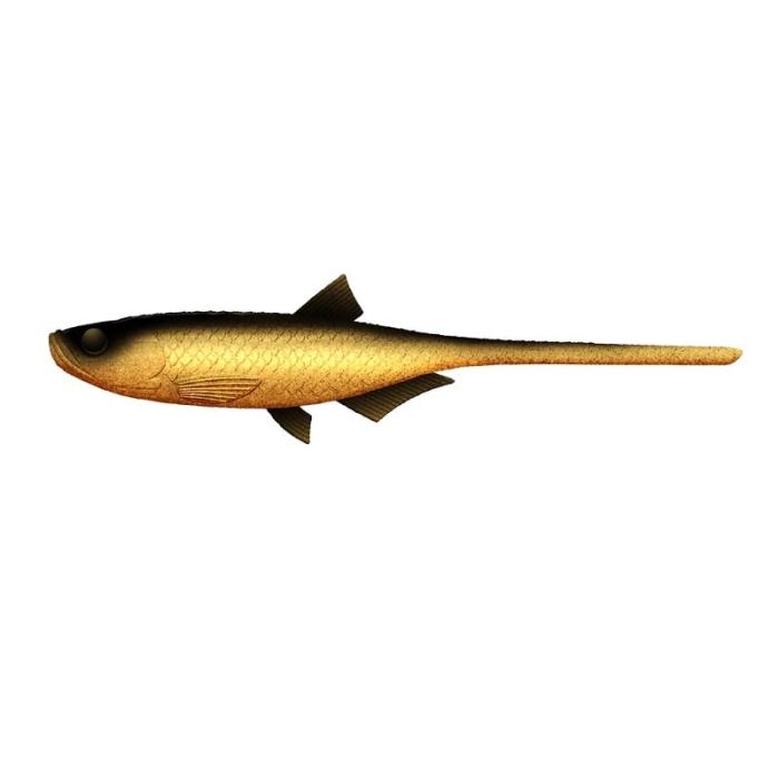 Libra Lures BLEAK SLUG 8,2 21cm 009 GOLD.jpg