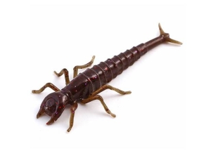 FishUP Diving Bug 5cm #050 Vert Citrouille Marron Rouge Pourpre 8pcs