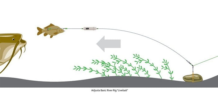 /environment/cache/images/productGfx_46883_700_700/madcat-adjusta-basic-river-rig-live-bait-k9.jpg