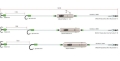 madcat-adjusta-basic-river-rig-live-bait-si.jpg