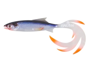 BALZER Reptile Shad Print 7cm Roach 1pc