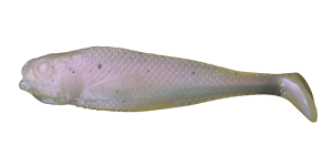 Espadon réaliste Shad 4cm J4 026 20pcs