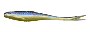 Alose réaliste GABBIEŁB JASKÓŁKA 8cm KJ8 024 10pcs