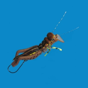 Cicadelle à tête plate Marron #8 1.5g