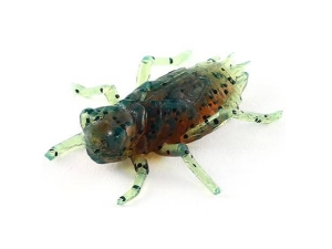 FishUP Dragonfly 1.2" (libellule) #017 Poivre d'huile de moteur 10pcs
