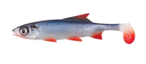 BALZER Clone Shads 18cm Gardon 1pc