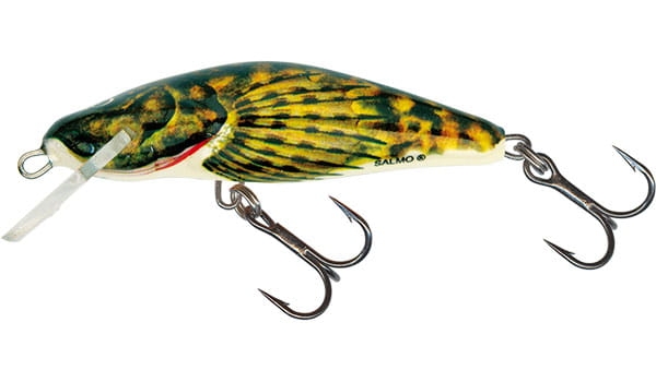 bullhead-qbd001.jpg