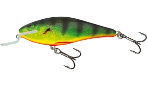 SALMO EXECUTOR SR 5cm 5g Vraie Perche Chaude FL