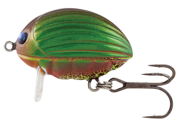 lil-bug-qbg001.jpg