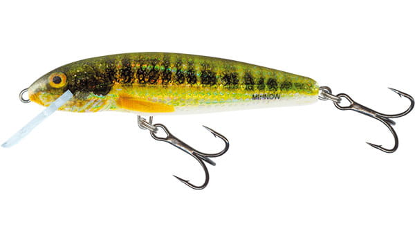 minnow-qmw044.jpg