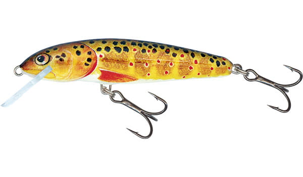 minnow-qmw027.jpg
