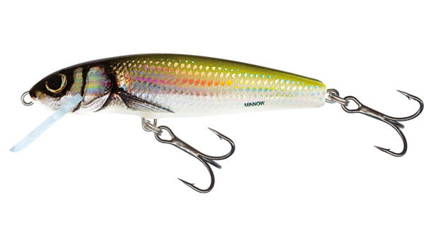 minnow-qmw029.jpg