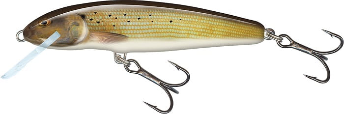 mw_grayling.jpg