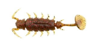 LUCKY JOHN ALIEN BUG 1.5" 3.8cm PA03 10pcs.