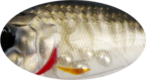 Twitchy Minnow 4.8cm 2.7g 887G