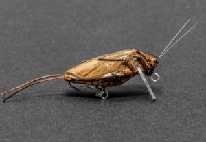 Wobbler IMAGO LURES Hopper 3.5cm F 2.2g LBDB